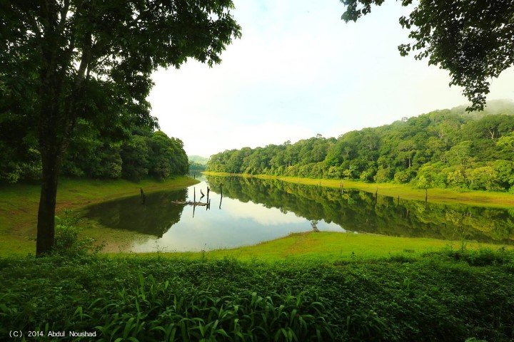 Kerala Backwaters, Mist Valleys & Ayurvedic Haven